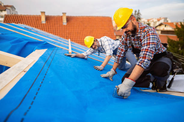 Best Roof Gutter Cleaning  in North Webster, IN